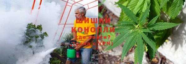 гидра Кинешма