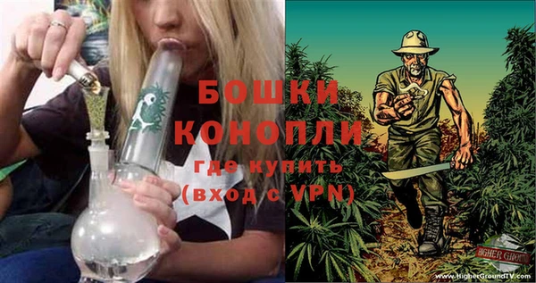 гидра Кинешма