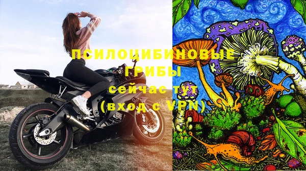 амф Киреевск