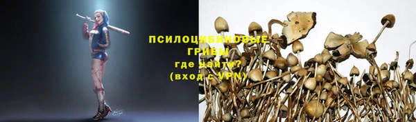 гидра Кинешма