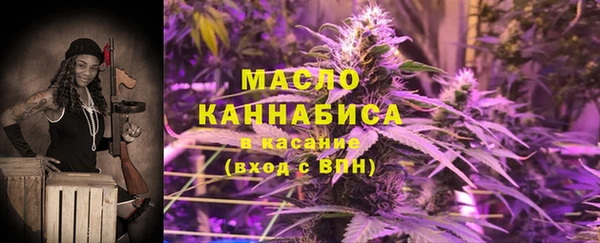 гидра Кинешма