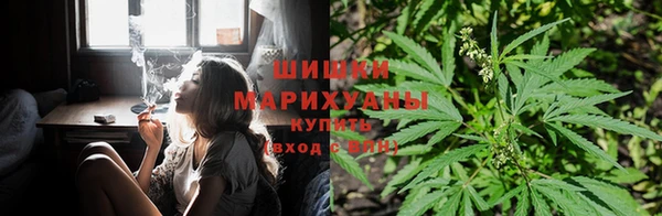 гидра Кинешма