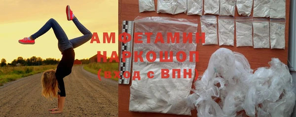 гидра Кинешма