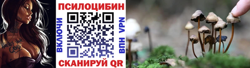 сколько стоит  Обнинск  Галлюциногенные грибы Psilocybine cubensis 